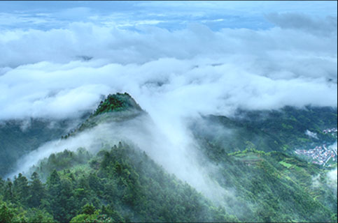 ?浙江臺(tái)州市布袋坑村傳統(tǒng)村落保護(hù)規(guī)劃